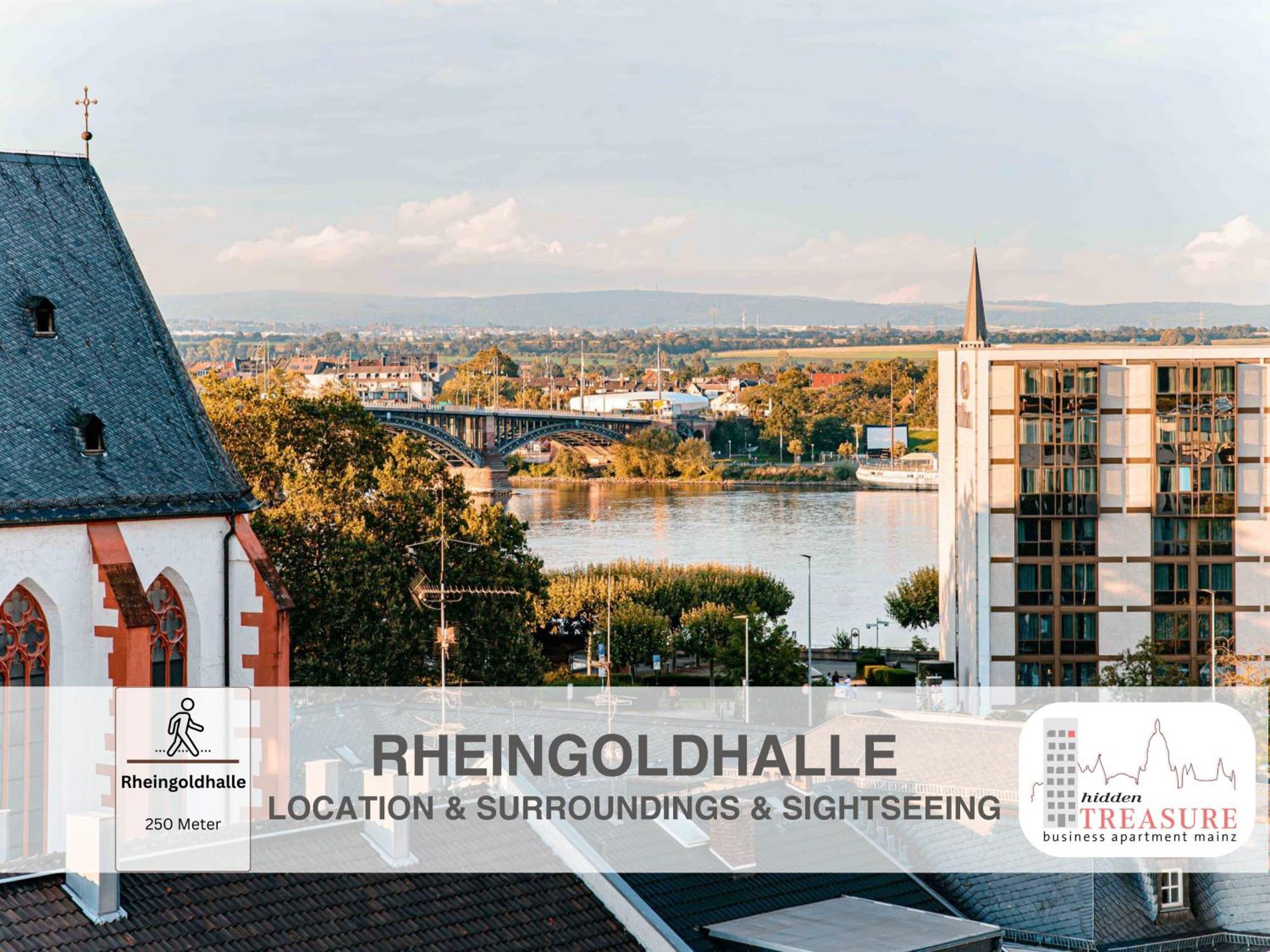 Hidden Treasure Business Apartment Mainz - Fantastic Rhine View In Center Of Mainz Old Town Exterior photo
